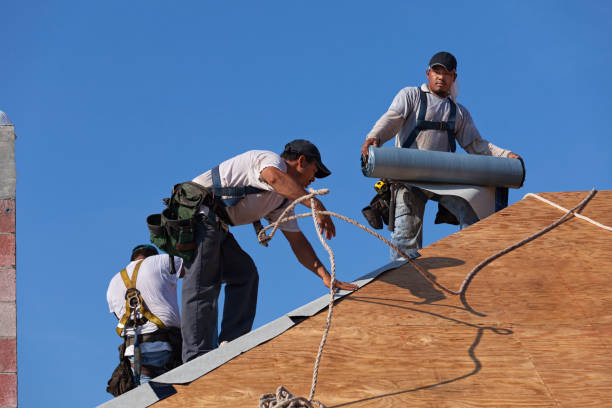 Best Best Roofing Contractors  in Crystal Lake, FL